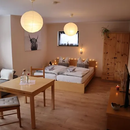 Apartment Ferienwohnung Erzgebirge Grunhainichen